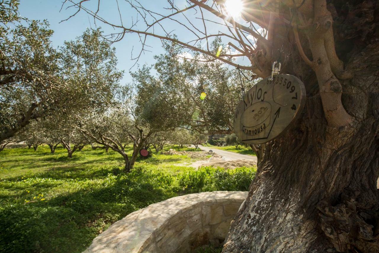 Μylos Kissamos Luaran gambar